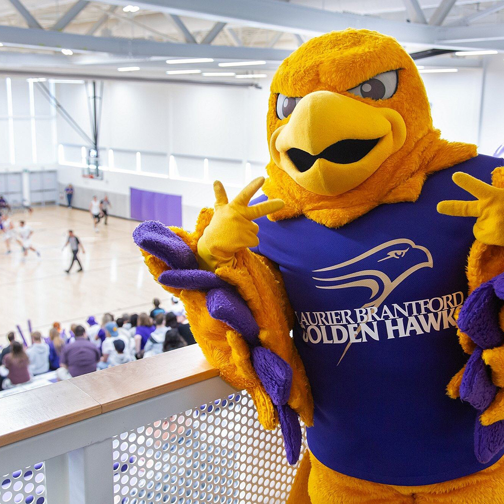 Photo of Midas mascot at Laurier Brantford