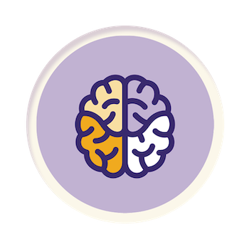 Brain