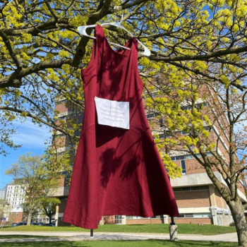 picture of red dress